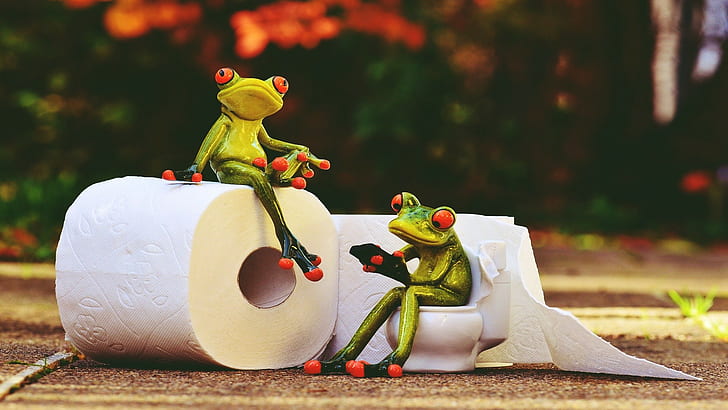 Retro-Stil, Frosch, Toilettenpapier, Tiere, HD-Hintergrundbild