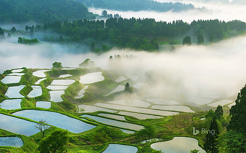 Japan Terassenförmig angelegte Reisfelder der Präfektur Niigata-2017., HD-Hintergrundbild HD wallpaper