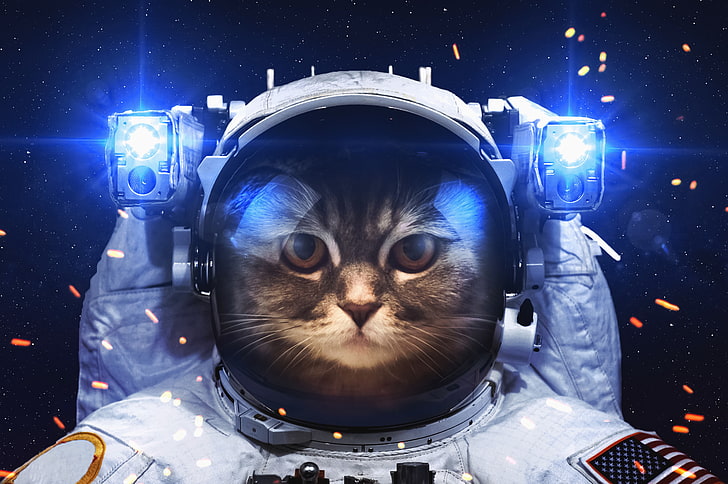 brązowy pręgowany kot, astronauta, kot, kosmos, Tapety HD