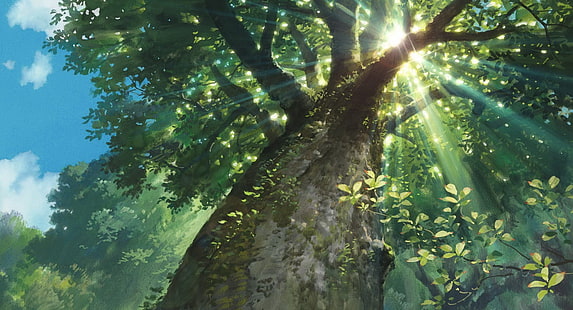зеленое лиственное дерево, природа, солнечный свет, деревья, солнечные лучи, вид червя, Studio Ghibli, Karigurashi no Arrietty, HD обои HD wallpaper