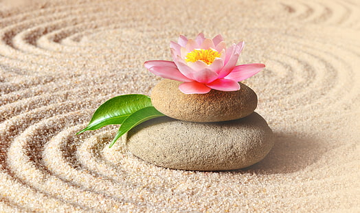 sabbia, fiore, pietre, loto, rosa, spa, zen, Sfondo HD HD wallpaper
