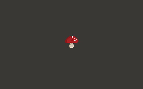 minimalist, mushrooms, HD wallpaper HD wallpaper