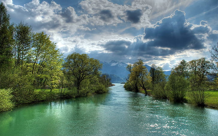 Jungfrau L, Fluss zwischen Bäumen, Land, Jungfrau, HD-Hintergrundbild