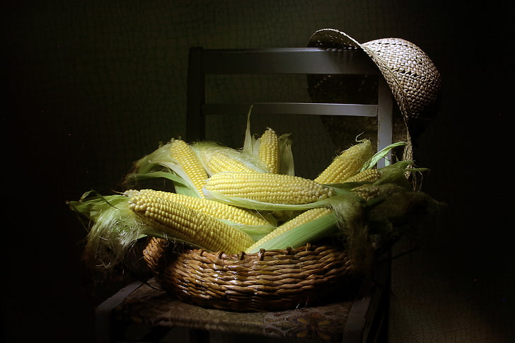 hat, corn, chair, HD wallpaper