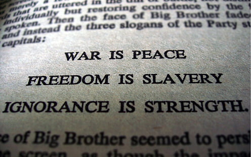 1984, big brother, George Orwell, peace, war, dom, slavery, literature, text, books, HD wallpaper HD wallpaper