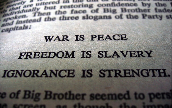 books, George Orwell, 1984, text, slavery, dom, war, peace, big brother, literature, HD wallpaper