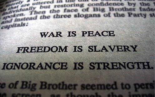 books, George Orwell, 1984, text, slavery, dom, war, peace, big brother, literature, HD wallpaper HD wallpaper