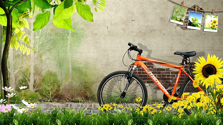 Spring Ride, brick, bike, bicycle, photos, nature, grass, wall, tree, flowers, spring, shade, summer, 3d and abstrac, HD wallpaper
