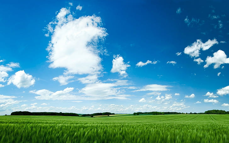 nature, grass, clouds, sky, blue, landscape, green, HD wallpaper