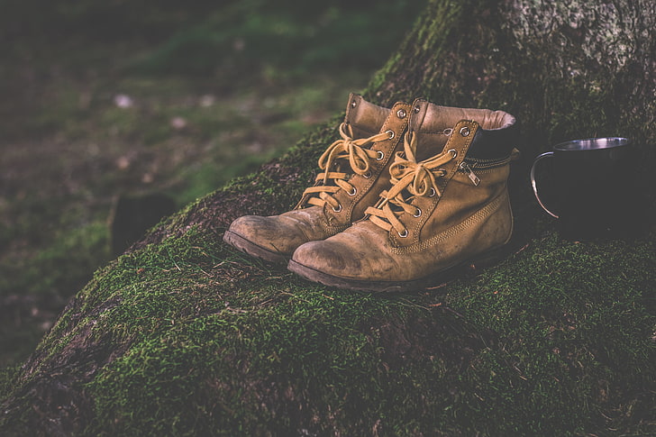 pair of brown leather boots, shoes, moss, boots, HD wallpaper