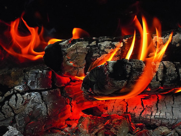burning charcoal, fire, wood, orange, black, red, Coal (Minerals), burning, HD wallpaper