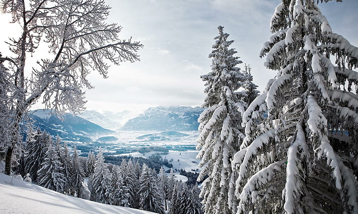 Paisaje invernal profundo, nieve, bosque, árboles, montañas, naturaleza y paisajes, Fondo de pantalla HD