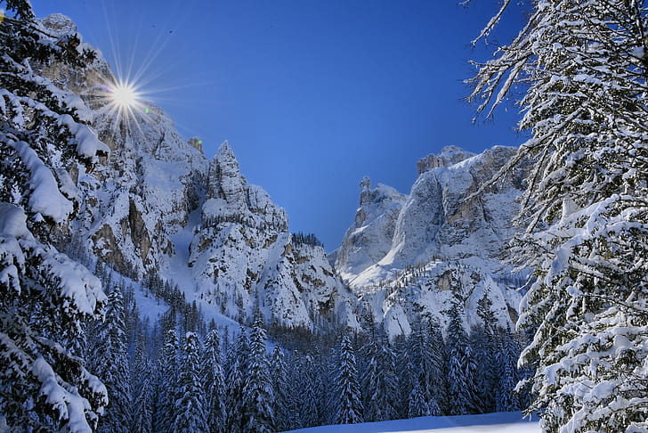 snow coated spruce trees under blue sky, dolomiti, la porta, dolomiti, la porta, Dolomiti, La porta, snow, coated, spruce, trees, blue sky, raggi, cielo, neve, winter, nature, mountain, tree, forest, landscape, outdoors, blue, scenics, european Alps, sport, HD wallpaper
