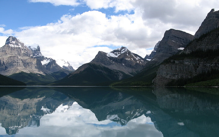textil floral blanco y negro, montañas, lago, naturaleza, lago Maligne, Parque Nacional Jasper, reflejo, Fondo de pantalla HD