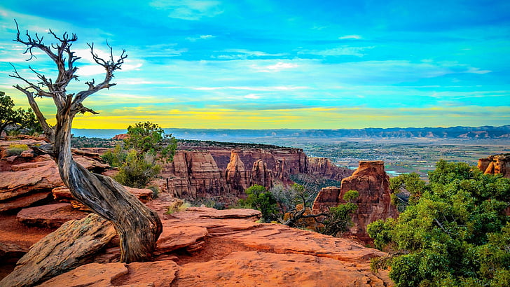 canyon, paysage, colorado, monument canyon, états-unis, Fond d'écran HD