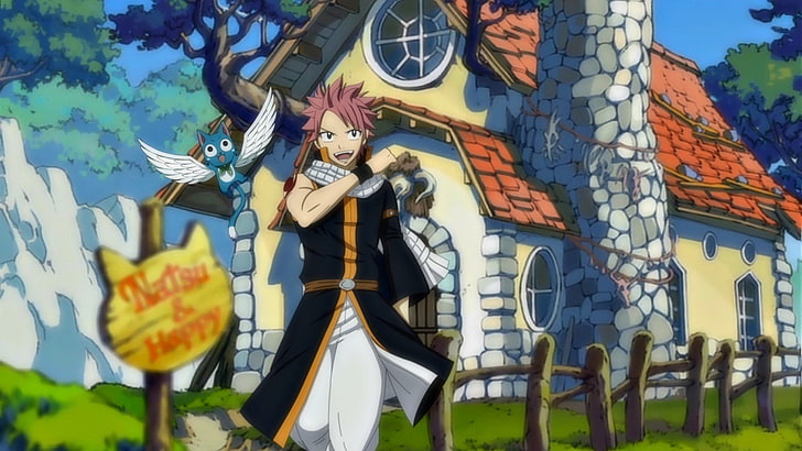 Fairy Tail Natsu Dragneel and Happy wallpaper, Anime, Fairy Tail, Happy (Fairy Tail), Natsu Dragneel, HD wallpaper
