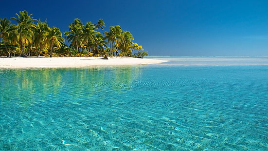Тропический белый пляж и кристально чистая вода, синее море;белый песок;зеленая кокосовая пальма, пляжи, пальмы, тропика, острова, природа, вода, песок, океан, природа и пейзажи, HD обои HD wallpaper
