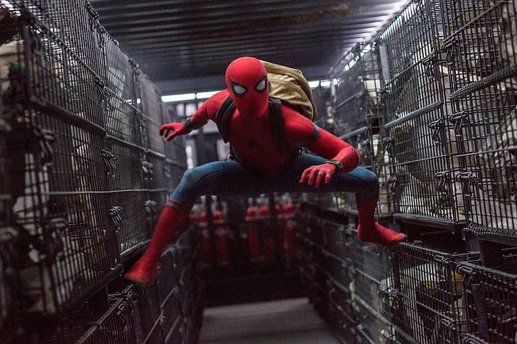 Marvel, Spider-Man: Homecoming, Tom Holland, 4k, 8k, HD wallpaper