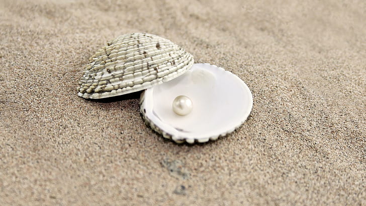 Ho trovato una perla, perla bianca, spiaggia, perla, sabbia, natura, estate, conchiglia, natura e paesaggi, Sfondo HD