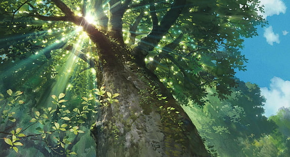nature sunlight trees sun rays worms eye view studio ghibli karigurashi no arrietty, HD wallpaper HD wallpaper