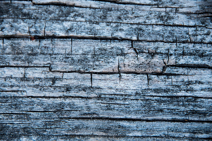 background, close up, grains, stock, texture, tree, wood, HD wallpaper