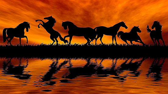 cheval, ciel, cheval mustang, silhouette, coucher de soleil, crinière, réflexion, faune, Fond d'écran HD HD wallpaper