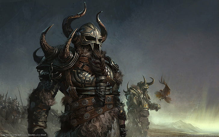 armor, birds, eye, fantasy, games, guild, north, video, warriors, wars, HD wallpaper