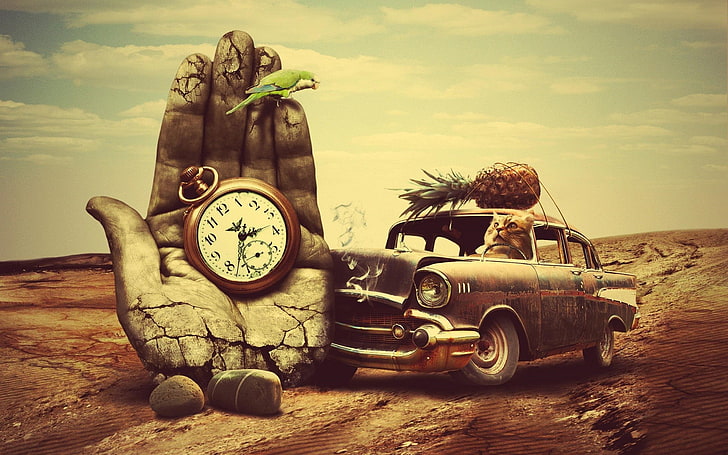 black sedan, car, old car, hands, clocks, birds, parrot, cat, pineapples, smoke, desert, animals, surreal, stones, rock, fruit, HD wallpaper