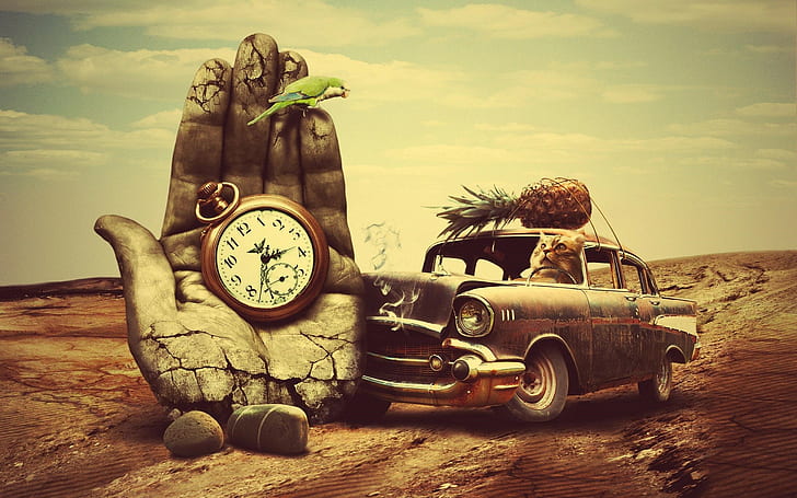 Car, Old Cars, Hand, Clocks, Bird, Parrot, Cat, Pineapples, Desert, Animals, Surreal, Stones, Rock, Fruit, car, old cars, hand, clocks, bird, parrot, cat, pineapples, desert, animals, HD wallpaper