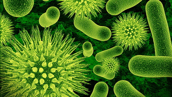 Viruses and bacteria close-up, green, Viruses, Bacteria, Green, HD wallpaper HD wallpaper