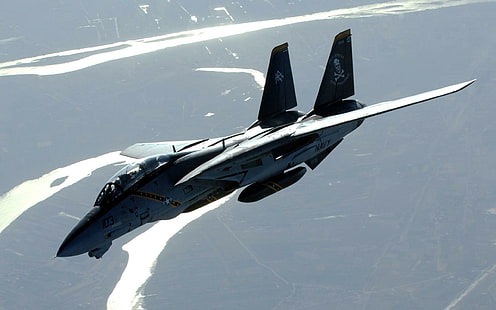 Американски флот F14 Tomcat, реактивен изтребител, флот, tomcat, самолет, HD тапет HD wallpaper