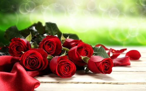 Красные розы День Святого Валентина фон, красные розы, День Святого Валентина, HD обои HD wallpaper