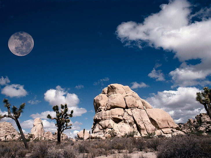 Vollmond Kalifornien, Mond, Vollmond, Kalifornien, HD-Hintergrundbild