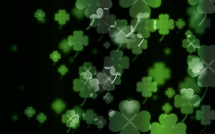 clover, clovers, irish, leaf, luck, HD wallpaper