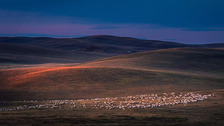 prairie, mongolie intérieure, chine, asie, paysage, hexigten, soir, Fond d'écran HD