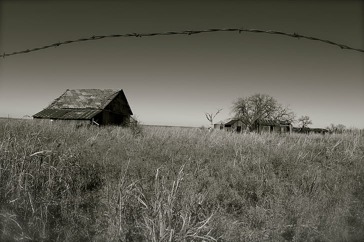 Fotografía en escala de grises de campo verde y casa, abandonada, escena rural, granero, viejo, granja, nadie, Fondo de pantalla HD