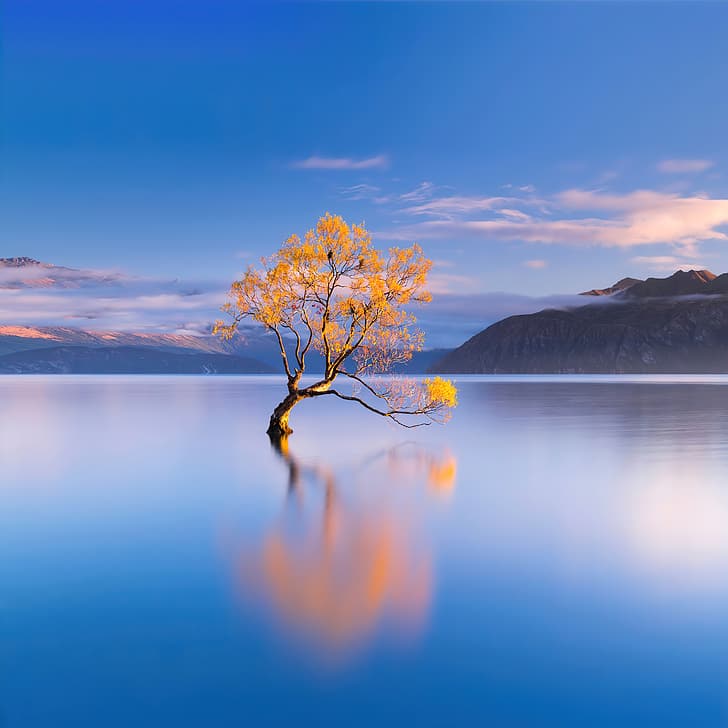 фотография, пейзаж, вода, озеро, горы, отражение, деревья, облака, природа, озеро Ванака, Новая Зеландия, HD обои