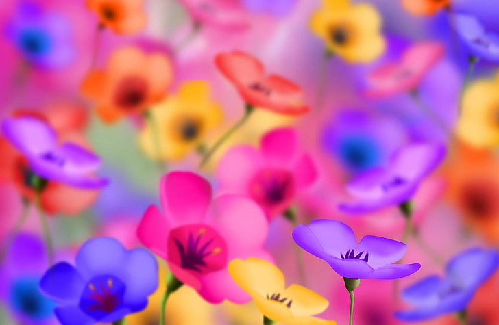 blandade blommor, blommor, färgglada, ljusa, positiva, HD tapet