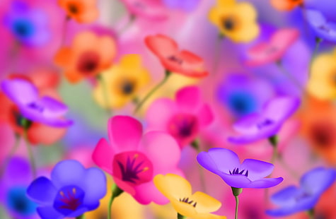 цветы разного цвета, цветы, красочные, яркие, позитивные, HD обои HD wallpaper