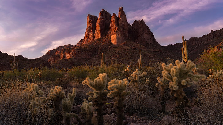 alam, lanskap, AS, rock, Arizona, Wallpaper HD