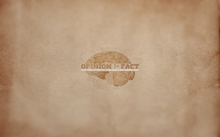 Opinion, Minimalism, Sign, Phrase, Meaning, Brain, HD wallpaper