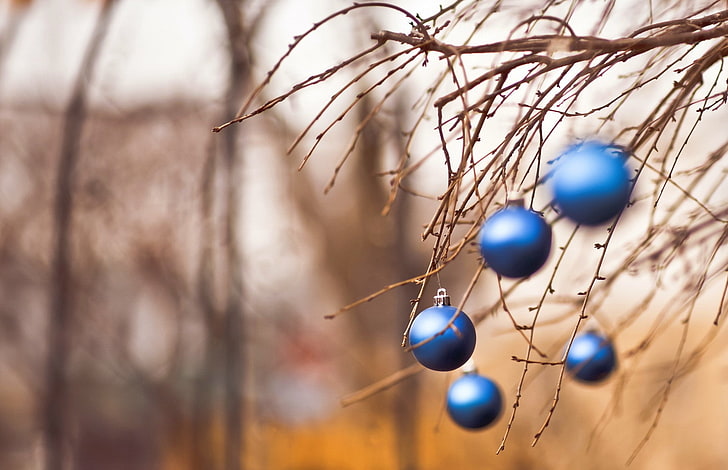 macro, Christmas ornaments, branch, HD wallpaper