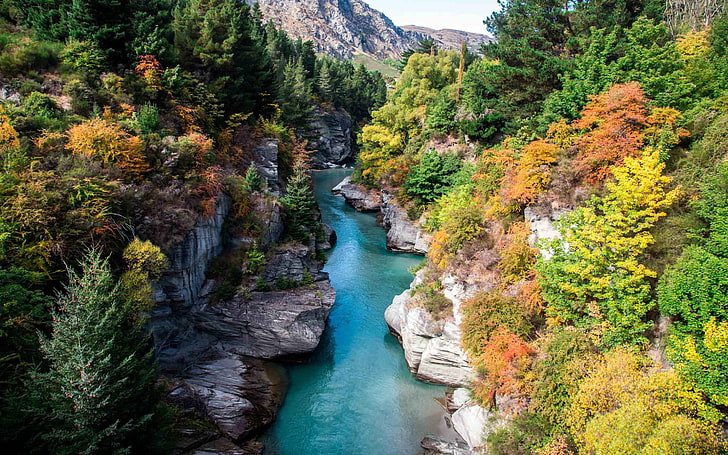 نهر شوتوفر في الخريف ، كوينزتاون ، نيوزيلندا خلفية عريضة عالية الدقة، خلفية HD