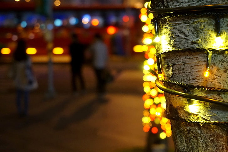 kalung manik-manik kuning dan merah, pohon, kota, bokeh, lampu natal, kedalaman lapangan, Wallpaper HD