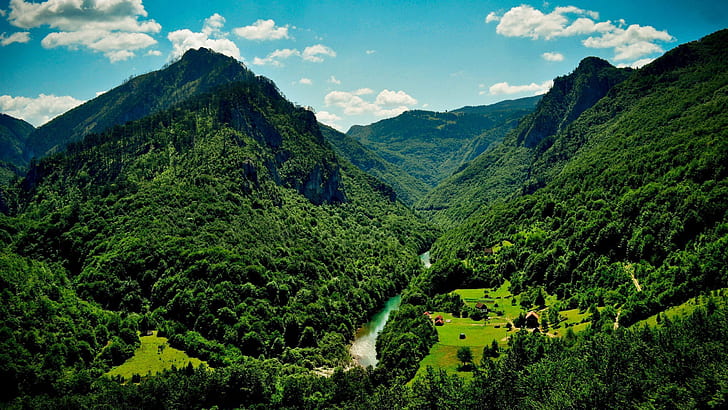 Summer Landscape Mount Durmitor Montenegro Desktop Hd Wallpaper 2560 × 1440, วอลล์เปเปอร์ HD