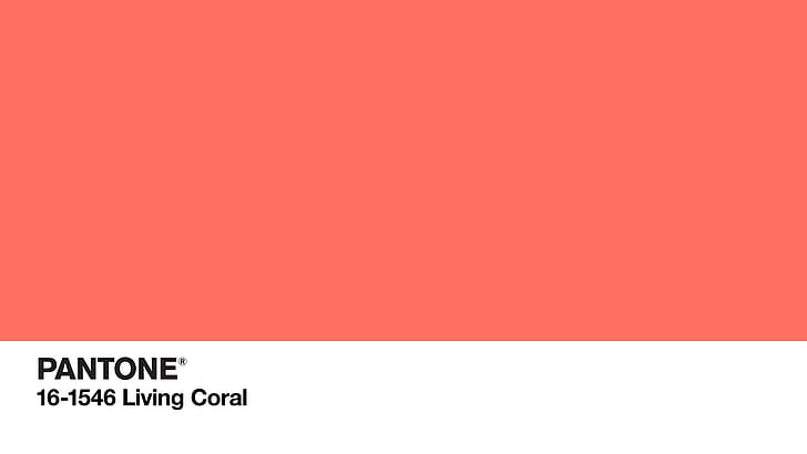 colorato, rosa, corallo, logo, tinta unita, codici colore, minimalismo, Sfondo HD