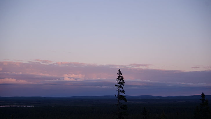 siluet pohon, Finlandia, hutan, lanskap, alam, Wallpaper HD