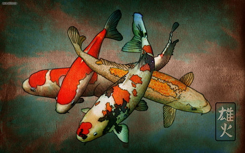 Koi, swimming, colourful, care, fish, animals, HD wallpaper HD wallpaper