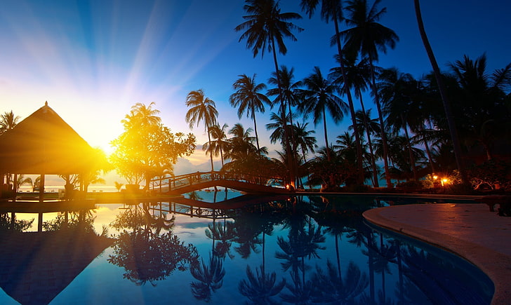 niebieski basen, woda, światło słoneczne, odbicie, palmy, Tapety HD