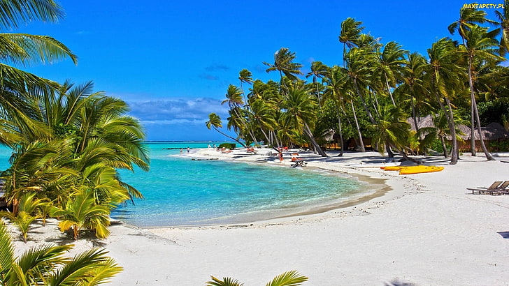 blanca, mar, naturaleza, palmeras, playa, Fondo de pantalla HD